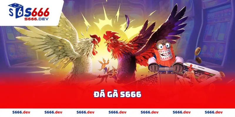 đá gà s666
