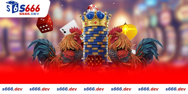 Chiến thuật Quản lý Vốn Độc đáo cho Đá gà S666