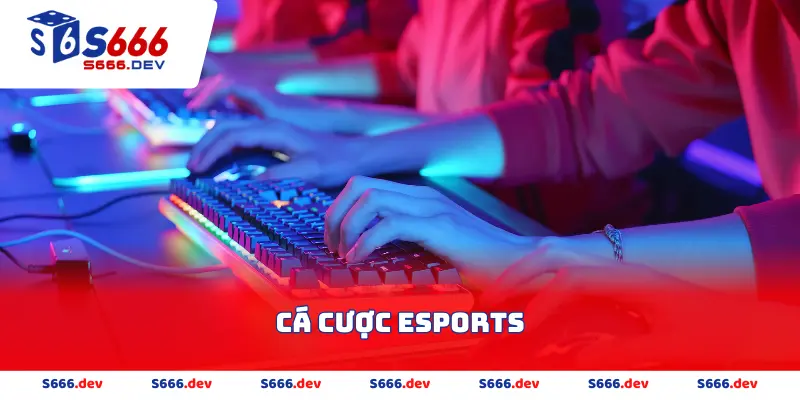 Cá cược Esports