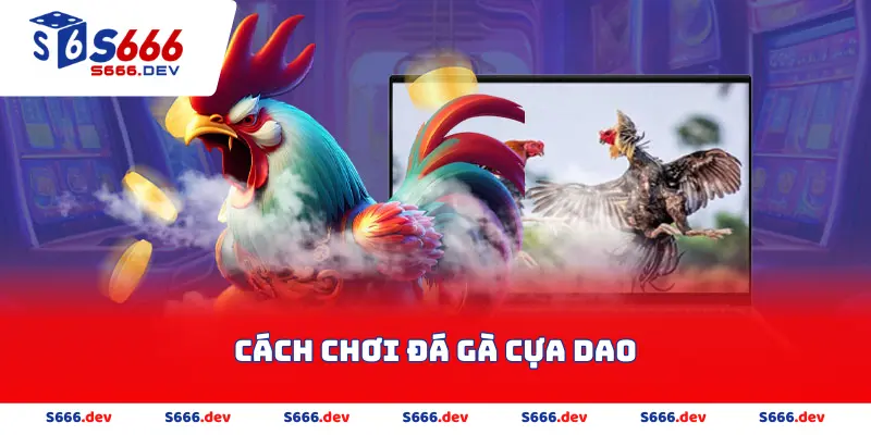 cách chơi đá gà cựa dao